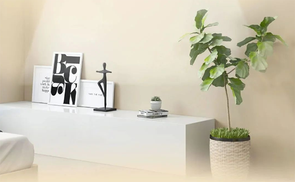 墻面臟污、發(fā)霉、不整潔怎么辦？